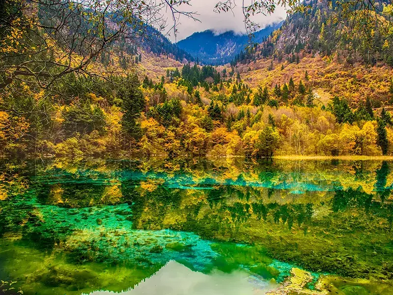 2026 [Fairyland Jiuzhaigou] Panda Valley / Dujiangyan + Jiuzhaigou + Huanglong 4-Day Tour - Sichuan 6