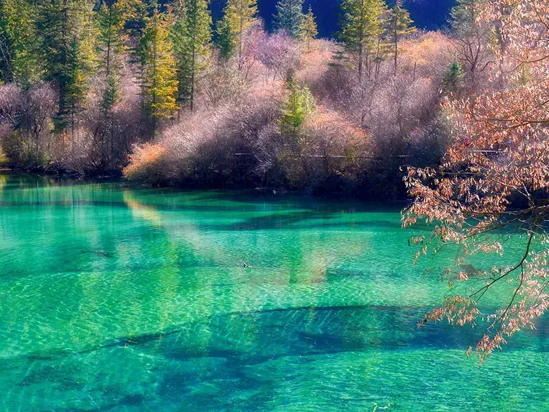 2026 [Jiuzhaigou Dream] Panda Park + Dujiangyan + Jiuzhaigou + Huanglong + Mount Siguniang 5-Day Tour - Sichuan 5
