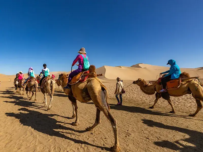 Romantic Silk Road: Listen to Camel Bells at Mingsha Mountain, Watch Desert Sunset at Crescent Lake—Gansu's Romance Is in Its Bones