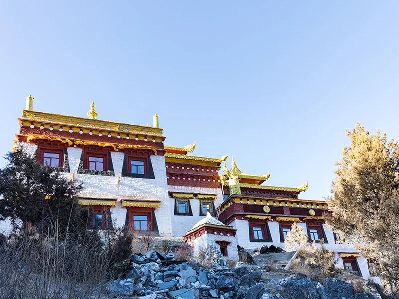 Don't Get Scammed! What to Eat at Daocheng Yading? From Chengdu to Daocheng, All Meals Arranged - travel guide cover